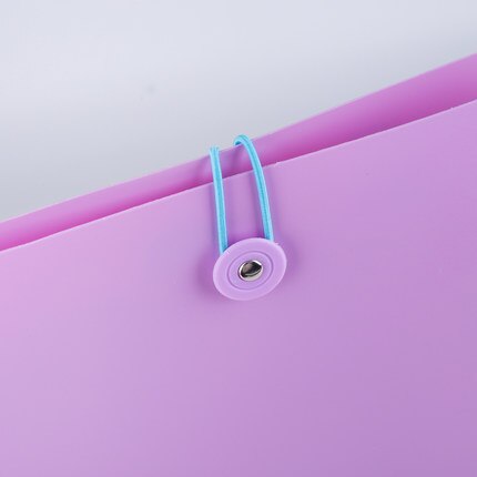 Porträtt arkivmapp  a4 mapp med flera fickpapper mapp för skolan