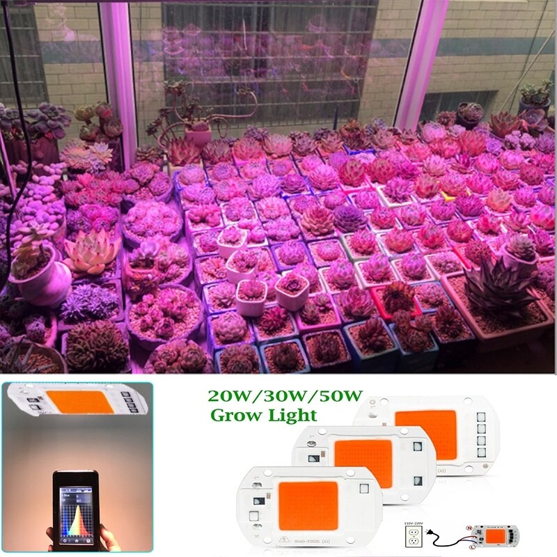 Led Grow Cob Chip Phyto Lamp Volledige Spectrum AC220V 20W 30W 50W Voor Indoor Plant/dier Groeien En Bloem Groei Fitolamp