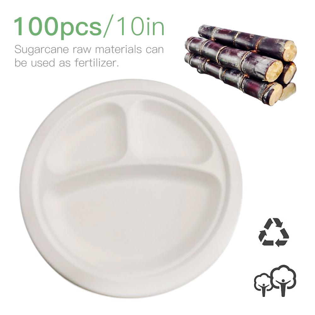 100Pcs/lot Disposable Paper Plate Cake Partition Environmental Protection Cup Original Site Sugar Cane Pulp Plates Generous 10in: Default Title