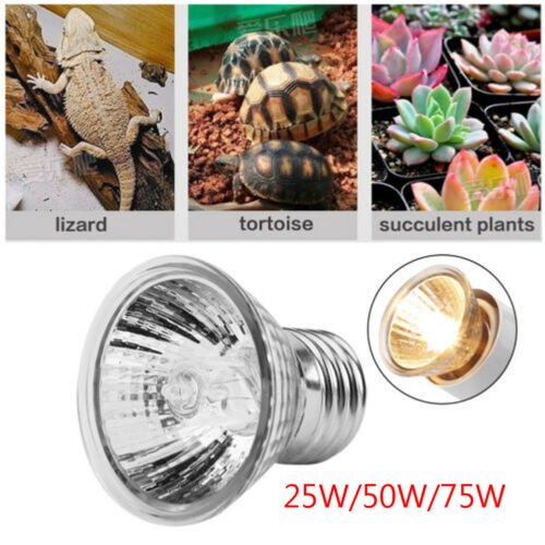 25/50/75w uva+uvb varmesender lampe pære lysvarmer til kjæledyr reptil ruger