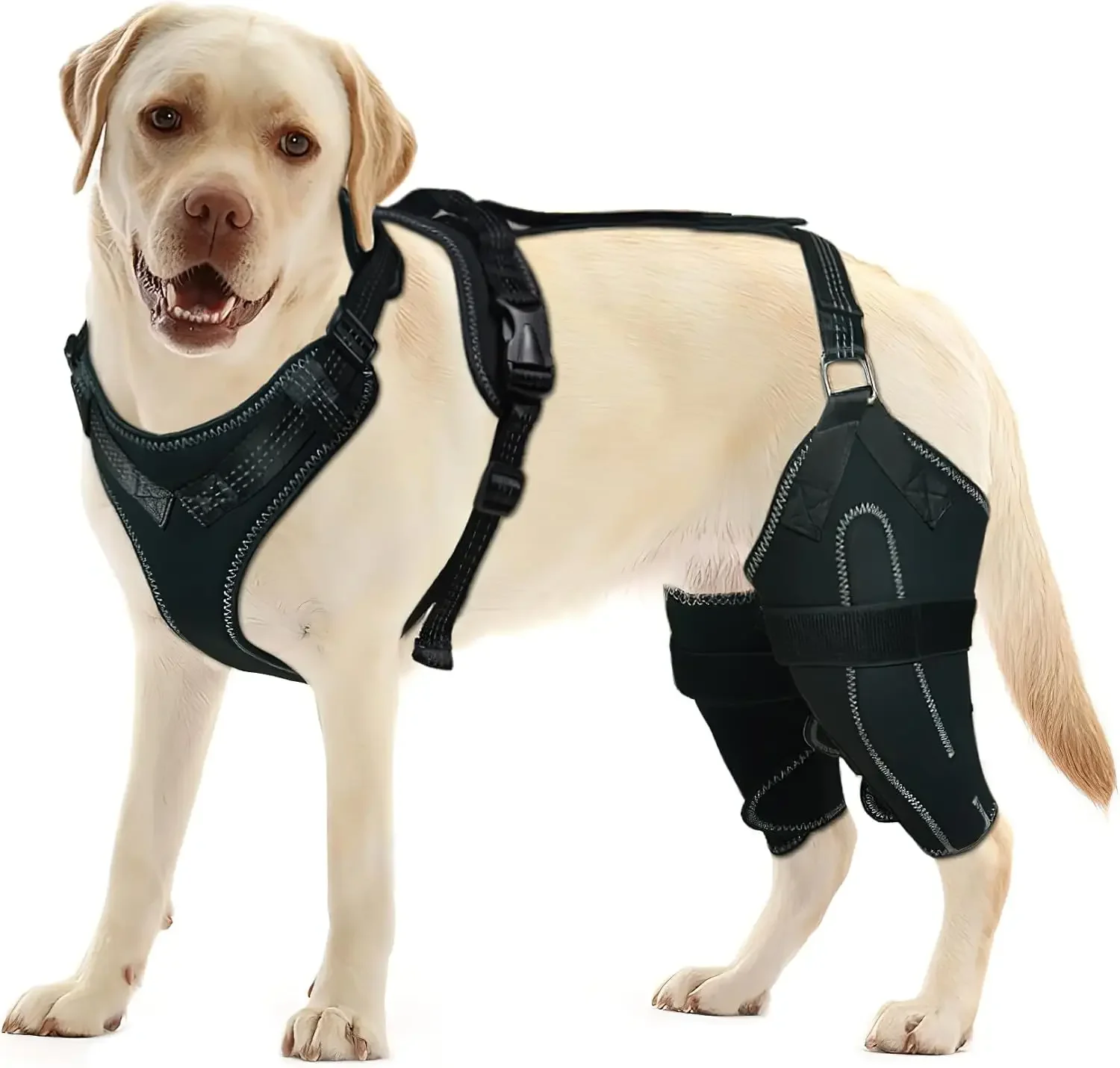 Dog Acl Knee Brace for Torn Acl Leg,Dog Knee Braces for Back Leg Warm Joint and Relieves Joint Pain,Better Recovery For Puppy: L