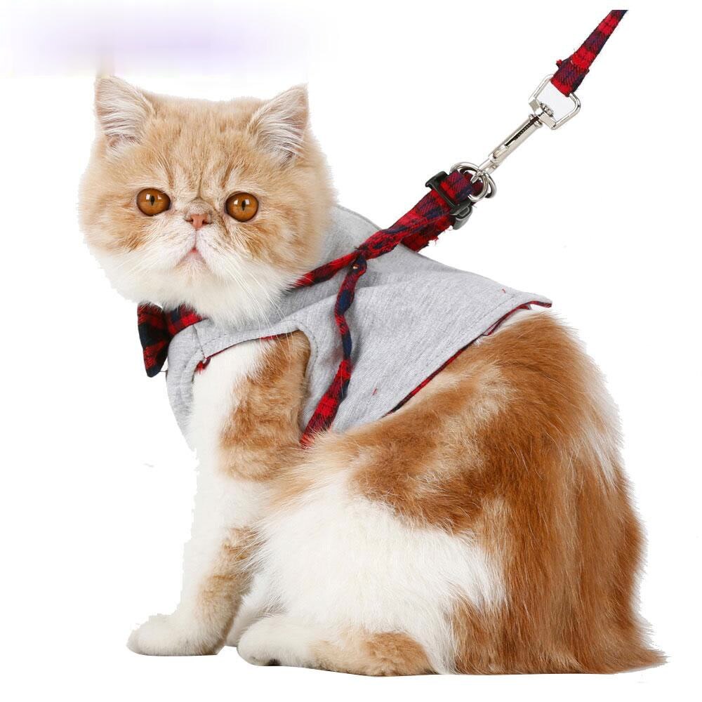 Samll Dog Harness Walking Fabric Harness Set Style 2 High Jacket+Leash Size British