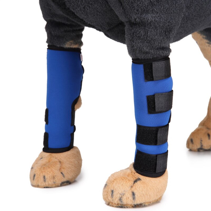 1 par ben seler kæledyr hund knæbeskytter hunde pad terapeutisk støtte stødsikker udendørs træning beskytte / hundeskader