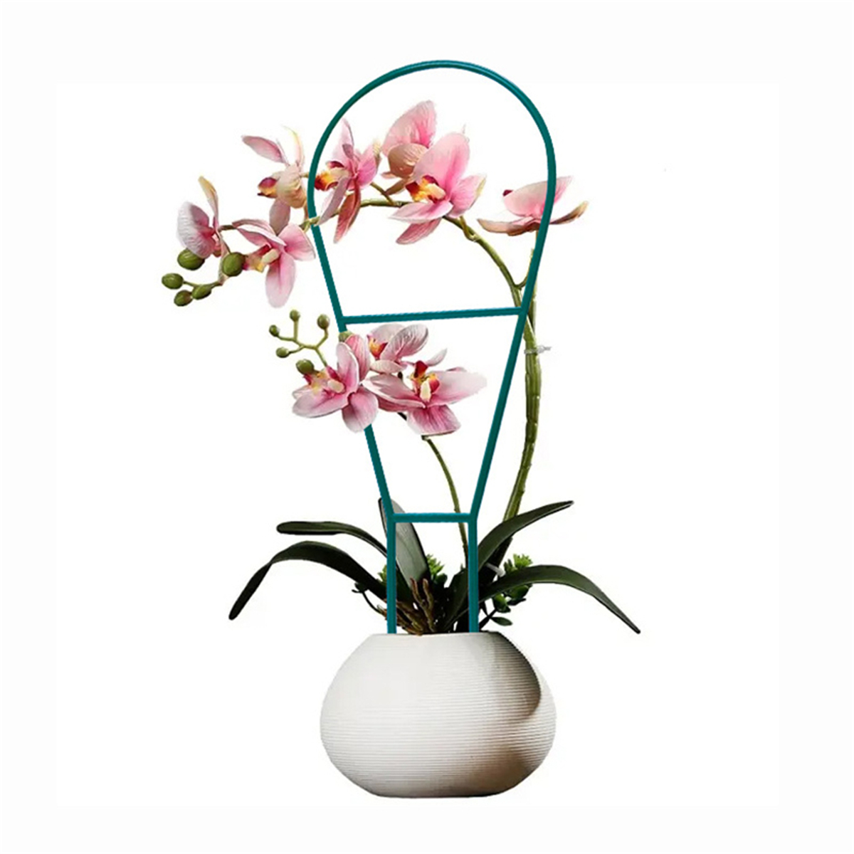 7 Shapes Plant Support Stand Plastic Cactus Racket Climbing Frame Balcony Flower Potted Fixed Rod Tomato Strawberry Supporter