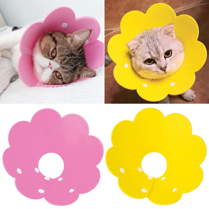 Collier de récupération de chat en forme de fleur collier élisabéthain cône de protection cicatrisant pour chiot chaton