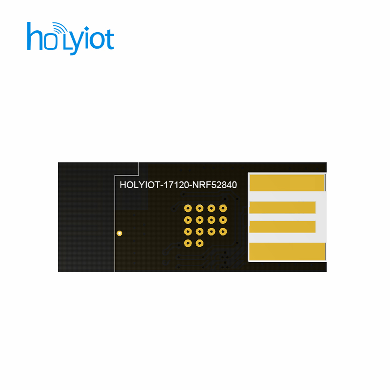 Holyiot NRF52840 USB Dongle Bluetooth Programmable Automation Modules Adapter Support DFU BLE Dongle With FCC CE Certification