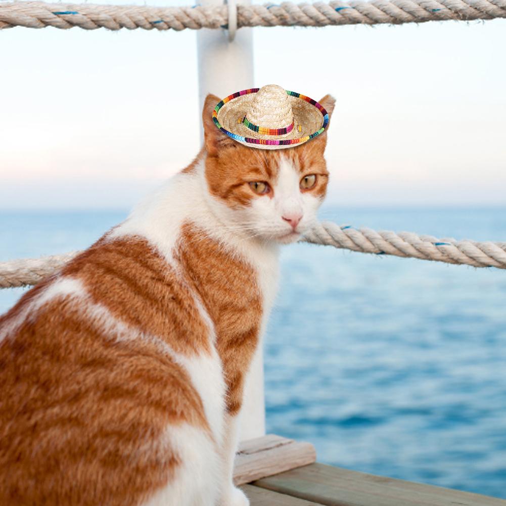 Kreatywne mini psy domowe słomkowy kapelusz sombrero kot niedz kapelusz impreza na plaży kapelusze słomkowe szczenięta w stylu hawajskim kapelusz psy koty akcesoria