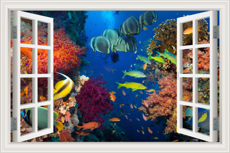 3D Vinyl Stickers Ocean Animal Mural Wallpape Underwater World Bedroom Bathroom Living Room Wall Art Decals Home Decorations: 1 / 80x120cm 32x48inch