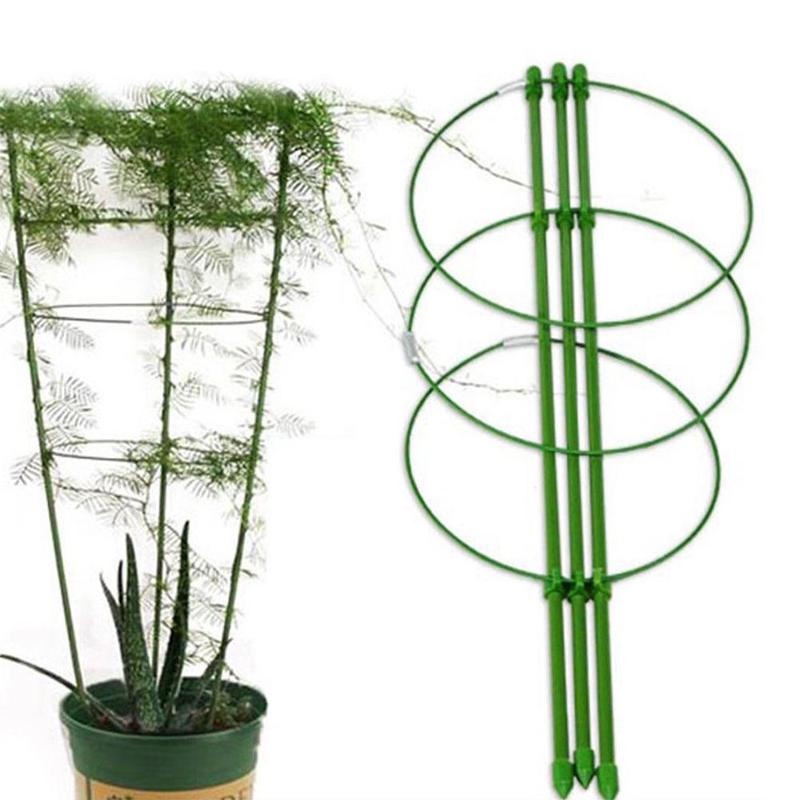 Holdbart klatreplante støttebur hage espalier blomster tomatstativ med 3 ringetone hagearbeid tomatbur