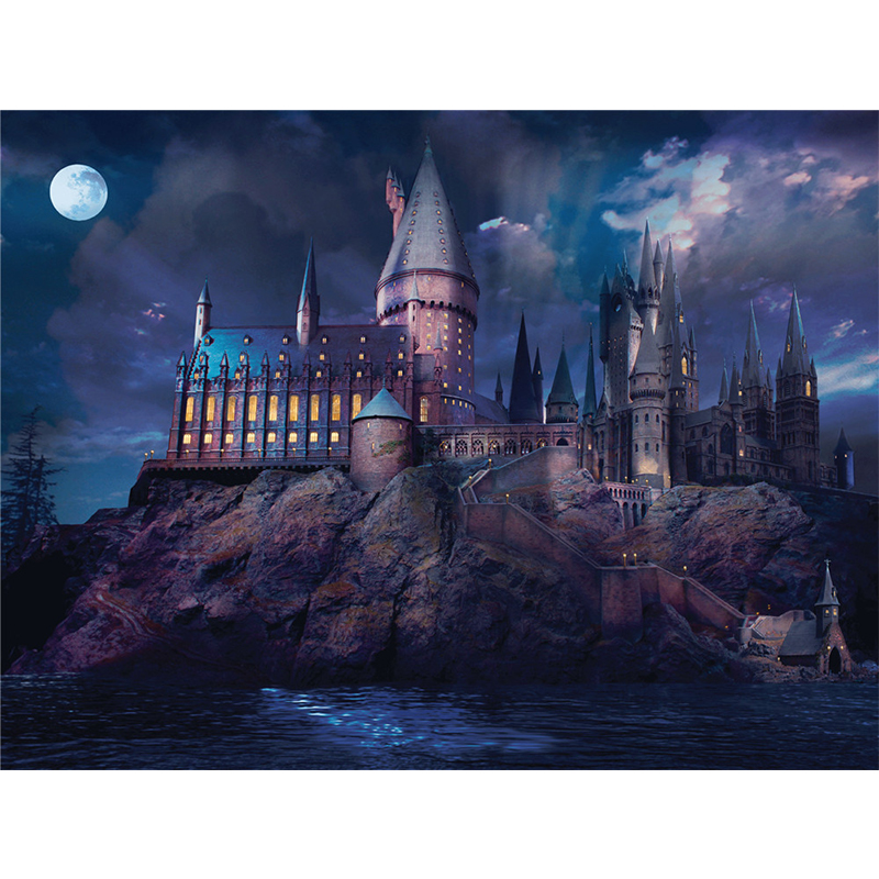 DIY 1000 Pieces Jigsaw Puzzle Educational Puzzle Games Toys Assembling Picture Landscape Puzzles For Adults Children Kids: A818 with opp bag