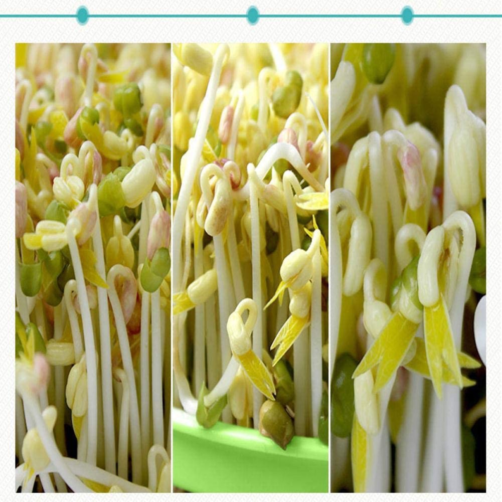 DIY Bean Sprout Maker Thermostat Green Vegetable Seedling Growth Bucket Automatic Bud Electric Sprouts Germinator Machine