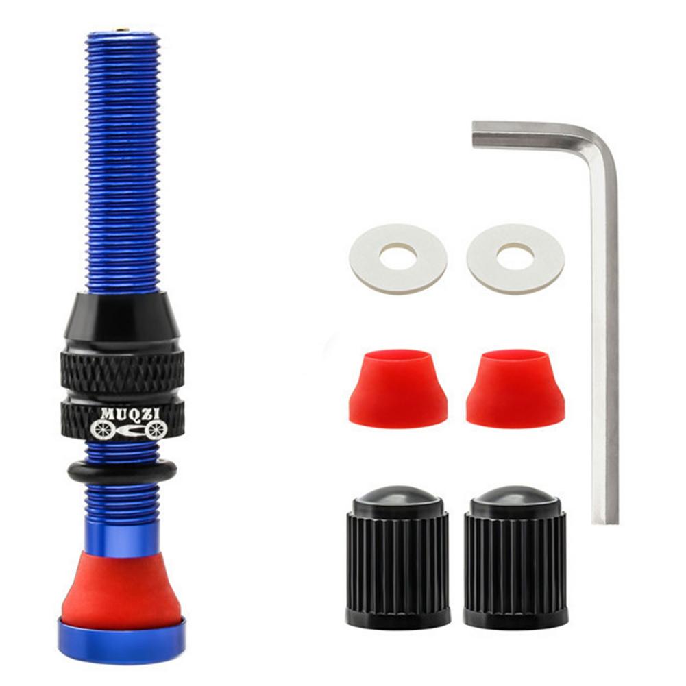 Schrader Valve Core Mountain Road Bike Replacement Tubeless Core: C