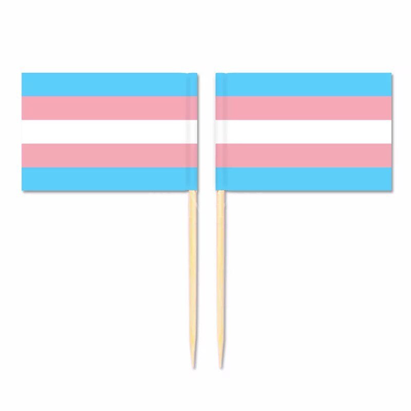 Mini sateenkaarilippu hammastikku lippu 50 kpl/pussi lesbo gay pride lgbt transsukupuolinen panseksuaali biseksuaali velisuhde