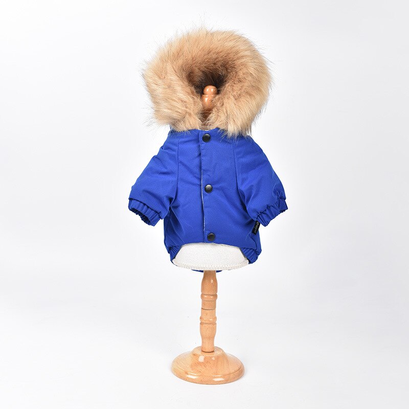 Sweat à capuche avec col en fourrure pour chien, vêtement d'hiver pour animaux de compagnie, petit et moyen gabarit, Chihuahua, carlin, Pitbull: Bleu / L