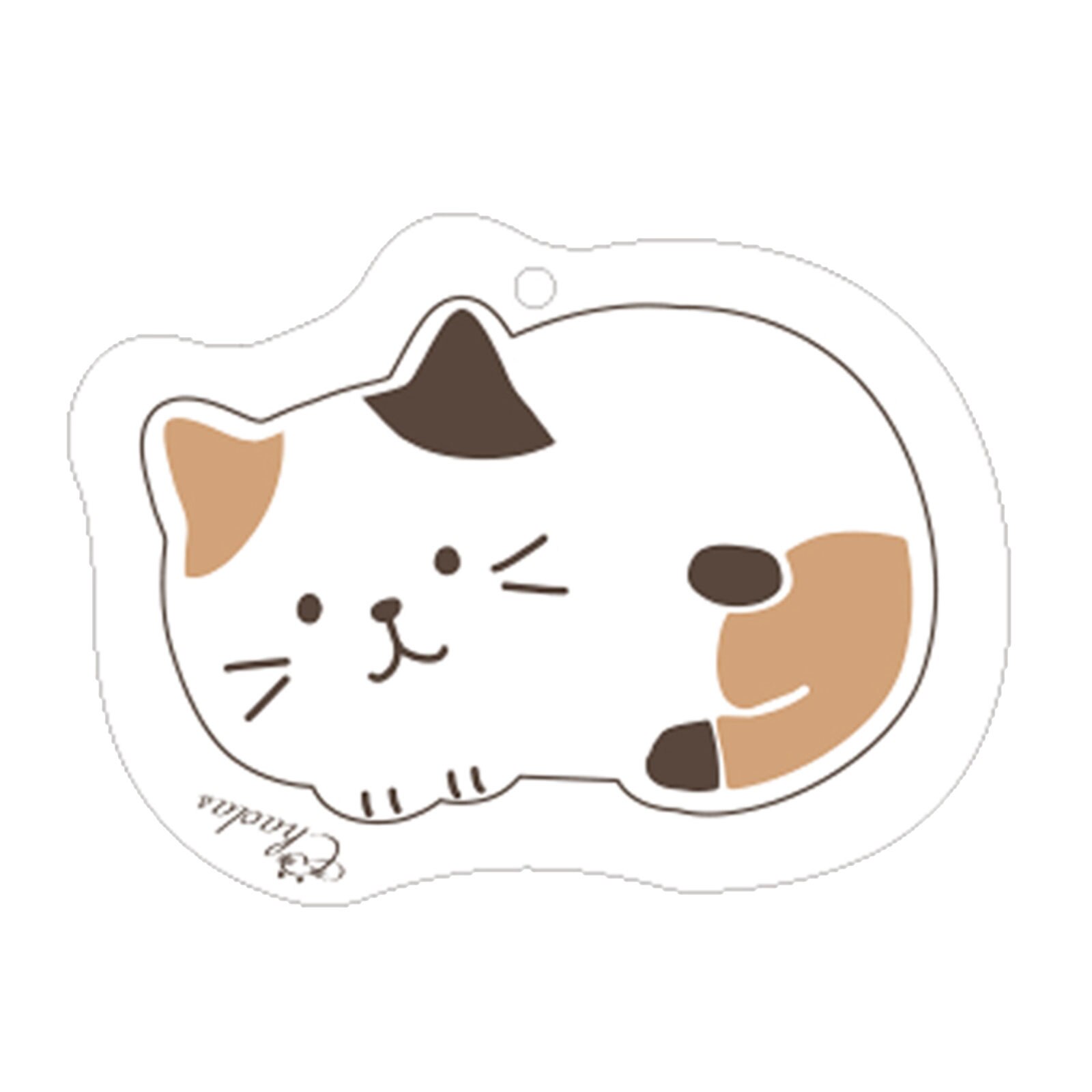 2022 Magic Kitchen Scourer Dishwashing Sponge Compressed Wood Pulp Sponge Cleaning Supplies Bathroom And Kitchen Accessories: 3