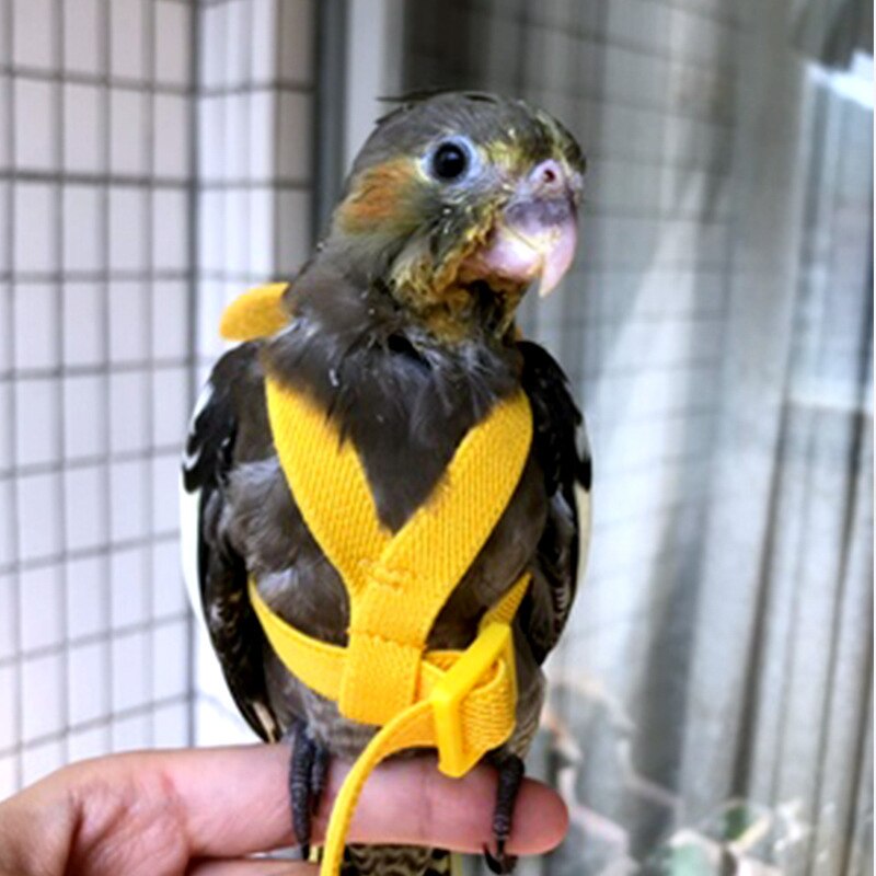 Set di imbracature e guinzagli per pappagalli corda da allenamento per volo all&#39;aperto regolabile con ala per piccoli uccelli medi Cockatiel, Macaw, Budgie