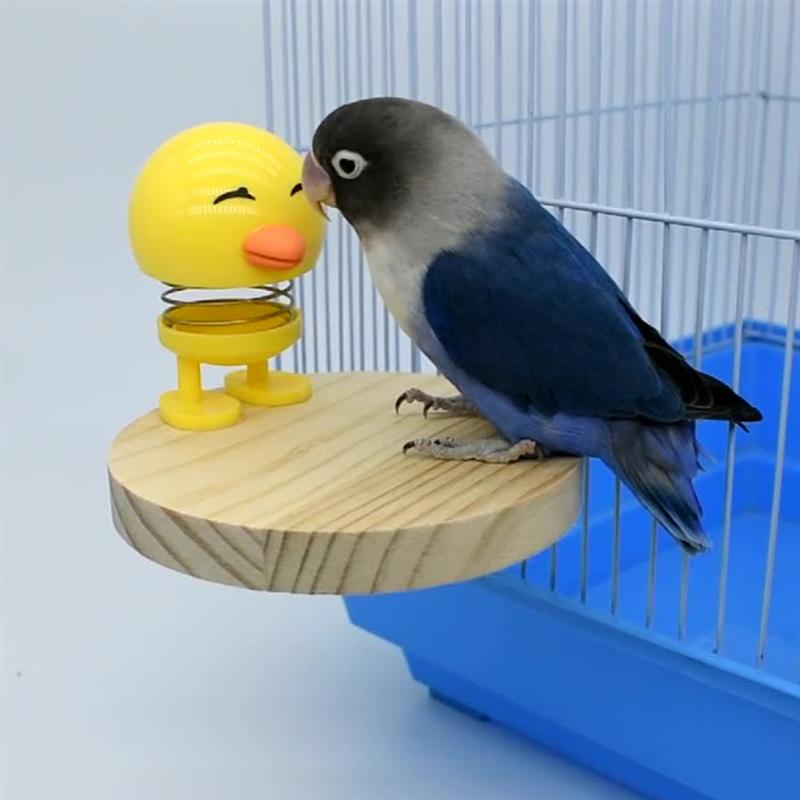 Soporte de madera para pájaros y mascotas, jaula para pájaros, Plataforma para perchas