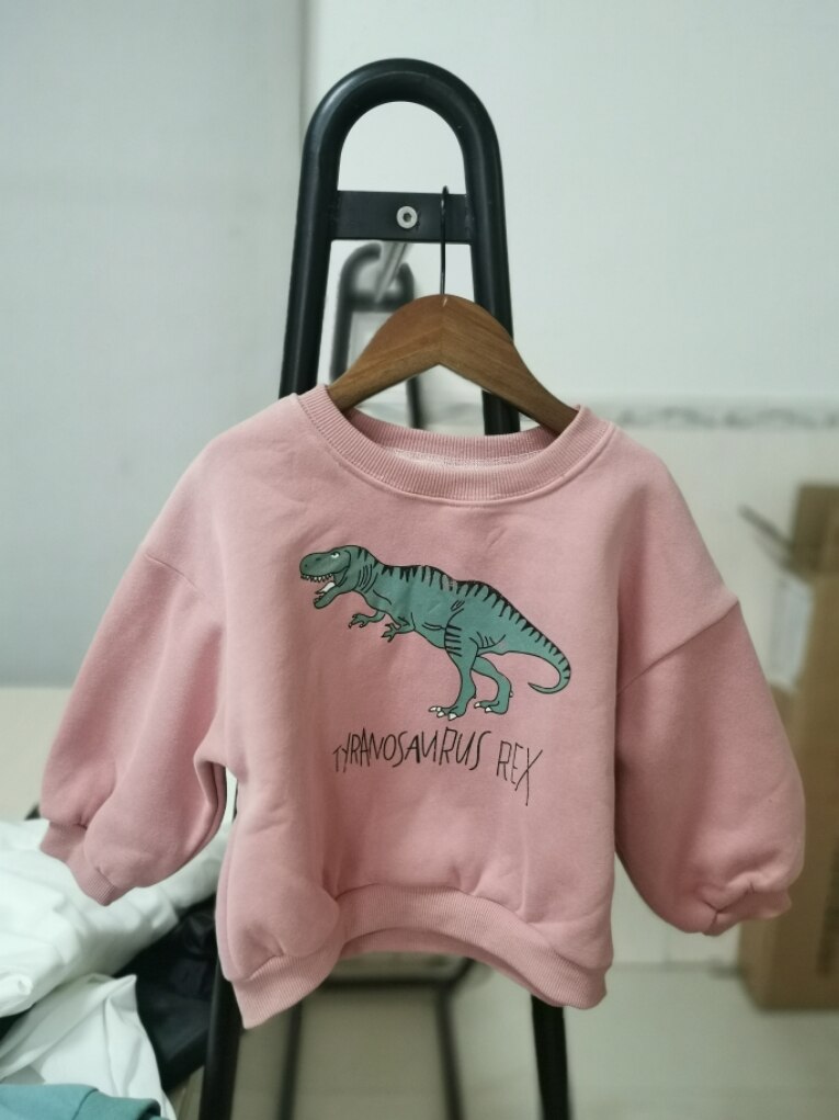 Sweat à Capuche Dinosaure Pour Enfant - Rouge, Taille 3 à 14 Ans, 152 Cm