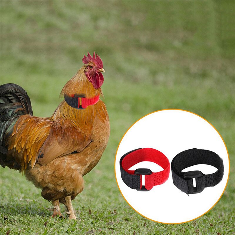 2Pc Rooster Noise-Free Anti-Hook Neckband Collar 2pcs Rooster Neck Collar Supplies Nylon Collar Rooster Supplies