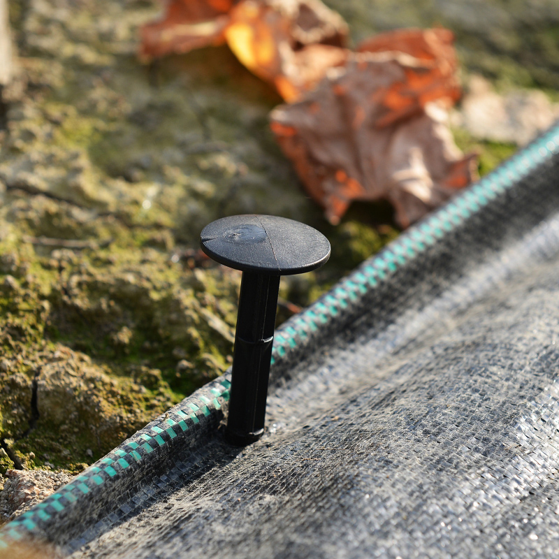 Den lille hætte  is 3cm i diameter og 11cm i diameter havehæfteklammer plast presenningspæle forankre robuste plastik pæle til