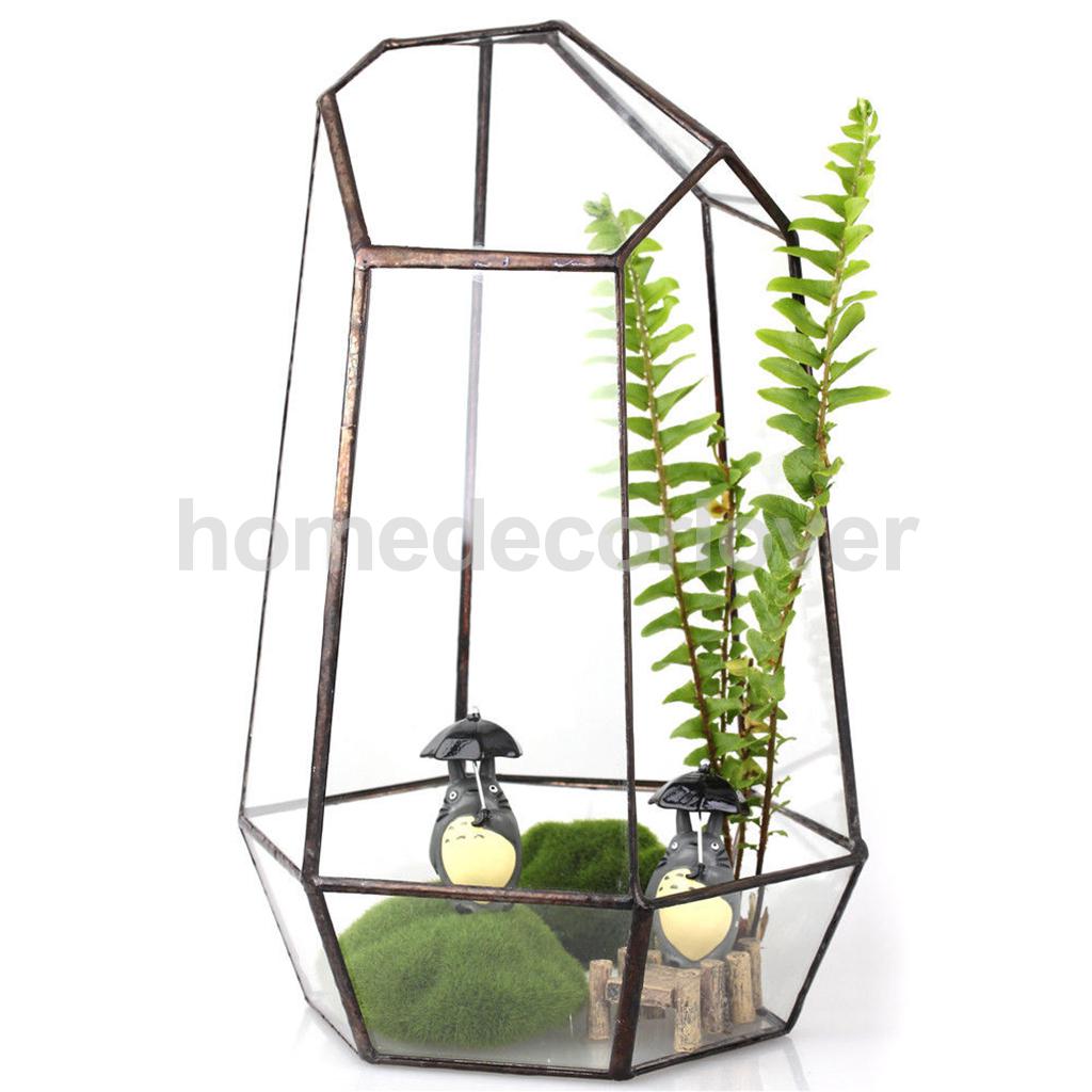 Fioriera In Vetro Geometrica 10x10x10 Cm Con Barra In Rame E Bordi Oro - Contenitore Per Piante Grasse E Terrario, Decorazione Casa