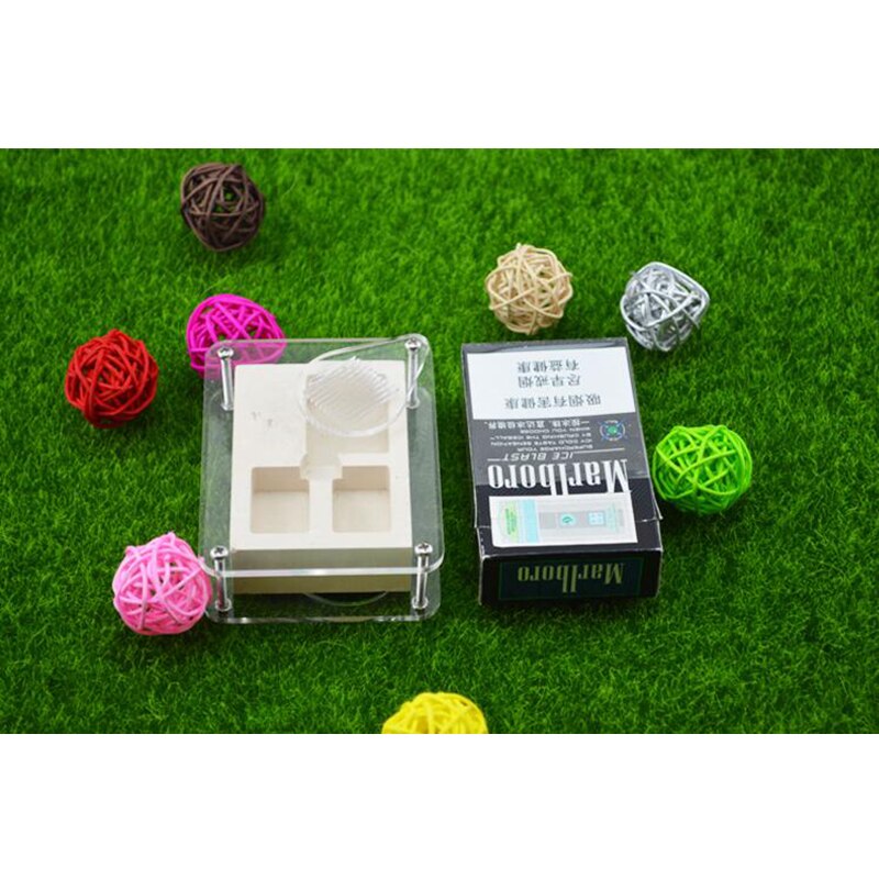 Mała farma mrówek willa akrylowe gniazdo gipsowe małe społeczności mini gniazdo mrówek owadów