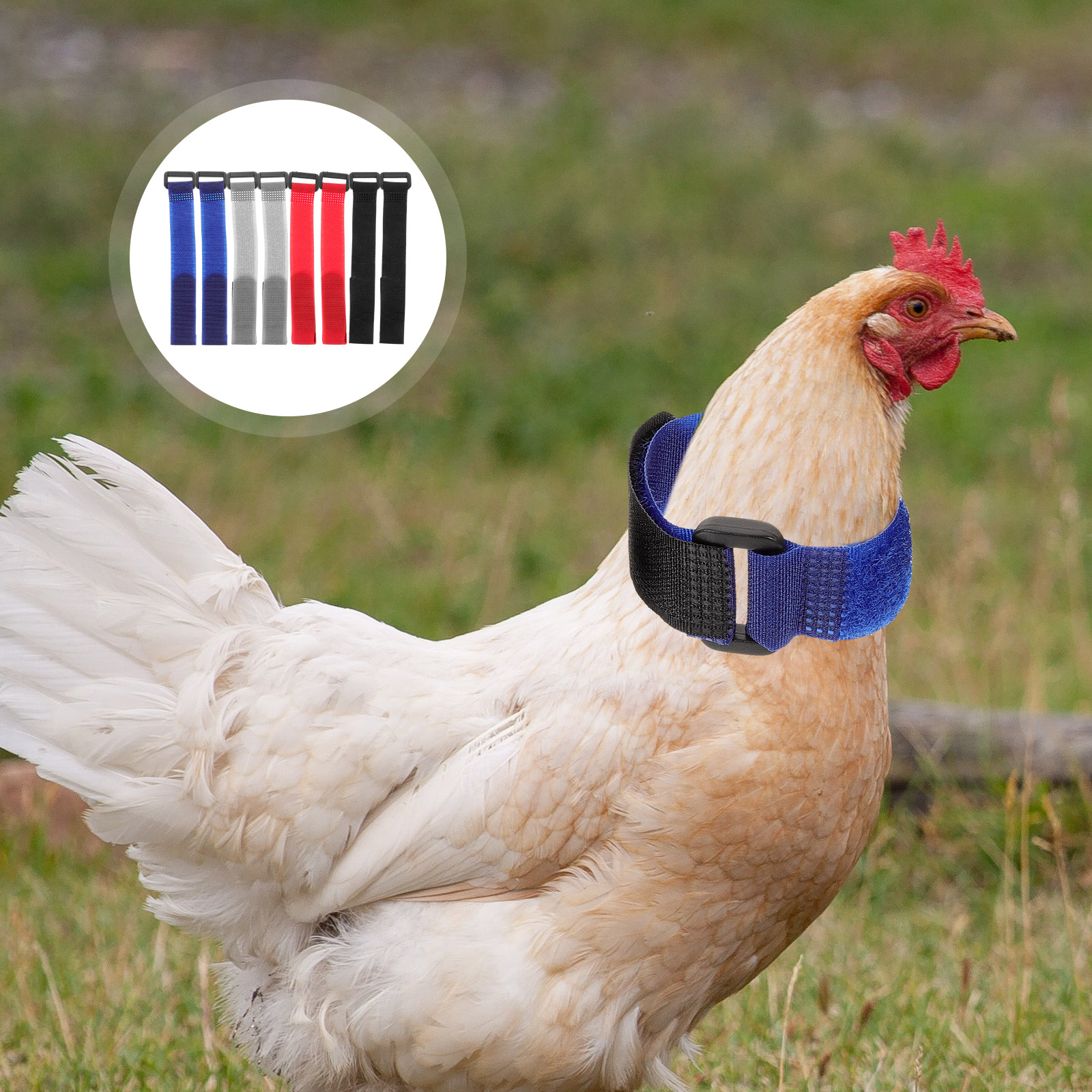8 Stuks Anti Kraaien Halsbanden Haan Noise Gratis Nekbanden Gevogelte Accessoires Flexibele Kip Halsbanden Boerderij Dieren Dragers Huisdier