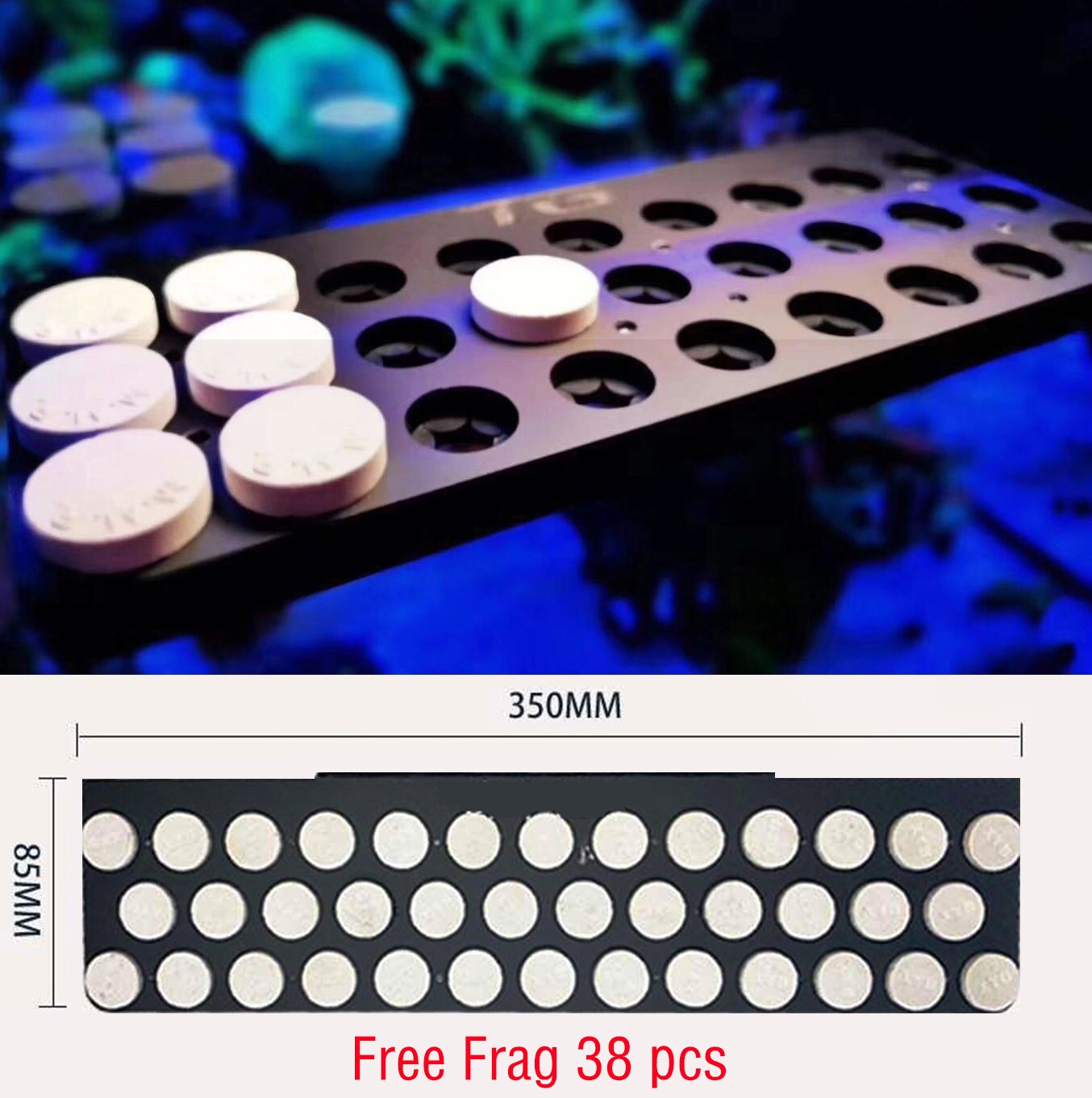 DW Aquarium WWC Style Special Acrylic Magnetic Coral Frag Plugs Rack Holder Fish Tank Collapsible Angle Adjusting Bracket Rack