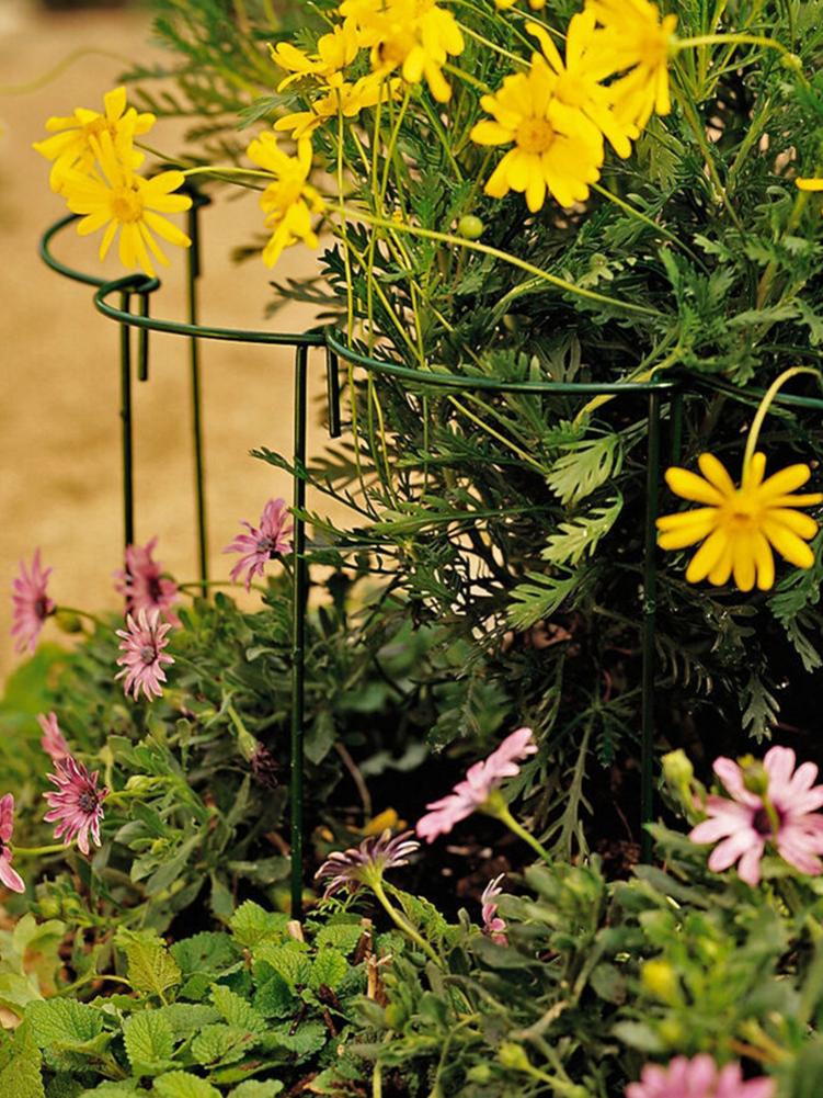 Nyeste bue plante støtte stake metall hage plante stake halv rund plante støtte plante blomsterpotte bur suporte para plantas