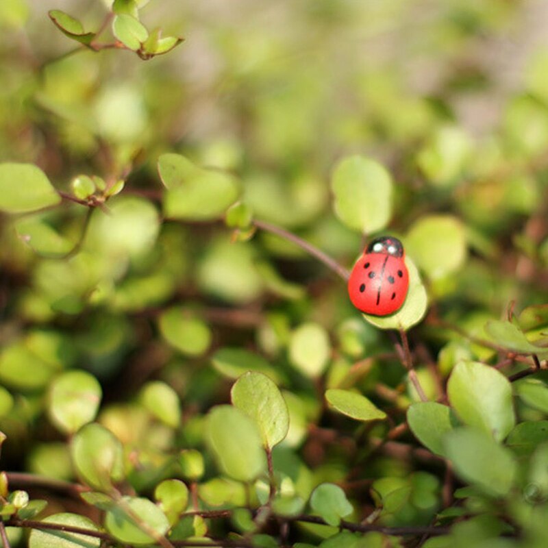 100pcs Cute Wooden Ladybird Ladybug Sponge Self-adhesive Sticker Kids Scrapbooking Baby Toys Garden Decorative Stakes