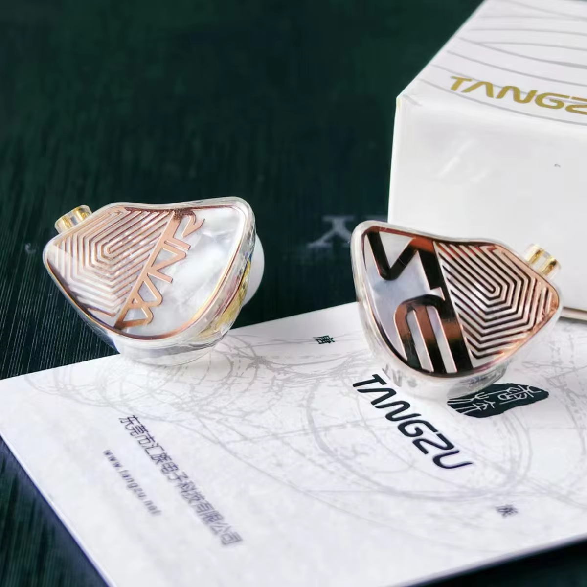 TANGZU WANER STUDIO Edition monitory douszne 10mm membrana PET dynamiczny sterownik wymienny 0.78mm 2Pin HiFi przewodowe słuchawki muzyczne