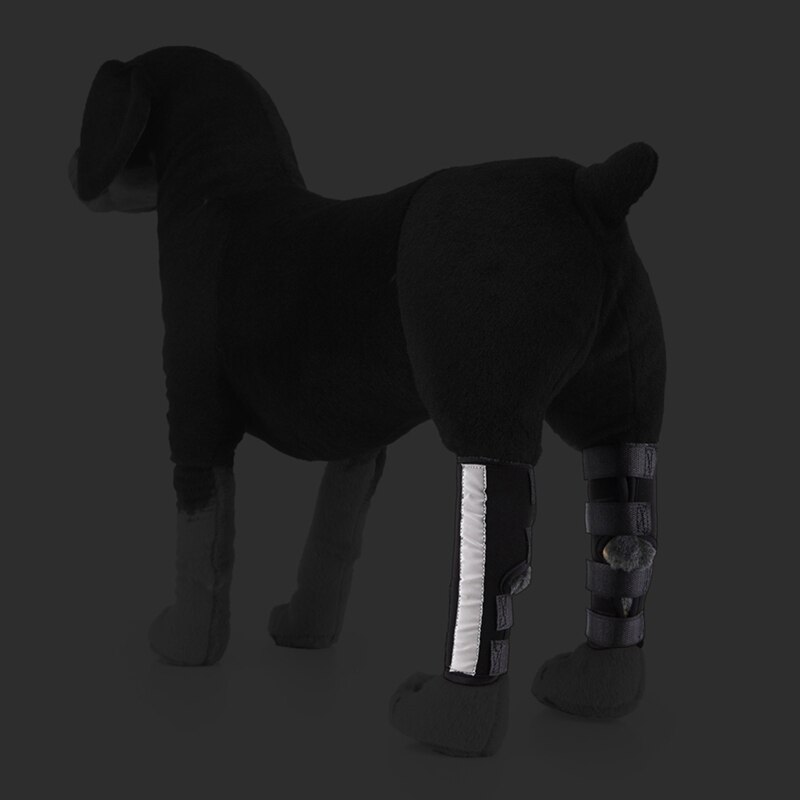 Labra Extra Supportive Dog Canine Rear Leg Hock Joint Wrap Protects Wounds As They Heal Compression Brace Heals Prevents Injury