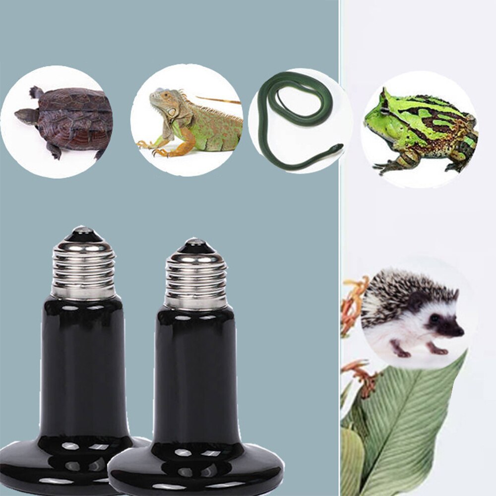 Lampe chauffante en verre 100W | 2 pièces, lampe chauffante par tache, blanc doux, éclat UVA, lampe chauffante pour ampoules