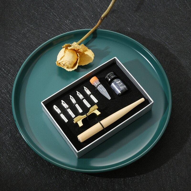 Calligraphy Fountain Dip Pen + 5 Nibs Ink Kit Box for Lettering Sketching 1XCE: Clear