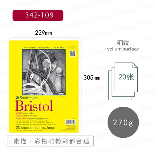 Strathmore 300 Series Bristol Paper, Drawing Paper, Watercolor Paper, Good Multi-purpose Drawing and Sketch Paper: 342-109
