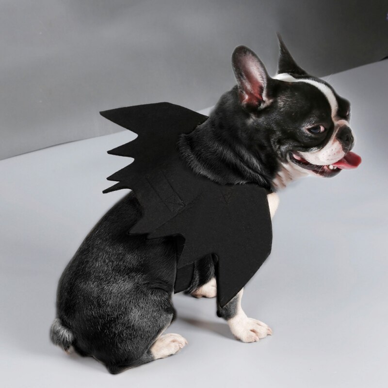Haustier Katze Hunde Halloween Kätzchen Schwarz Fl... Vicedeal