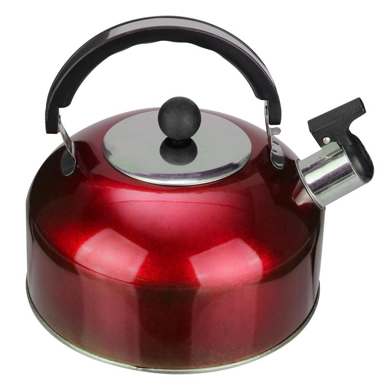 Stainless Steel Tea Kettle Heat-Resistant Teapot Boiling Kettle Flat Bottom Kettle Durable Teapot Boiling Kettle Kitchenware: D
