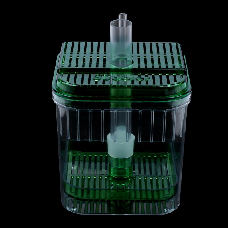 Kunststoff Platz Aquarium Aquarium Filter Unterseite Kasten transparent Grün