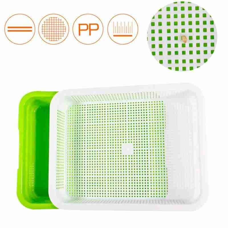 Green Seed Sprout Planting Plate With Cover Pea Bean Pot Wheatgrass Hydroponic Tray Sprouter Home Germination Seedling Syst M3X4