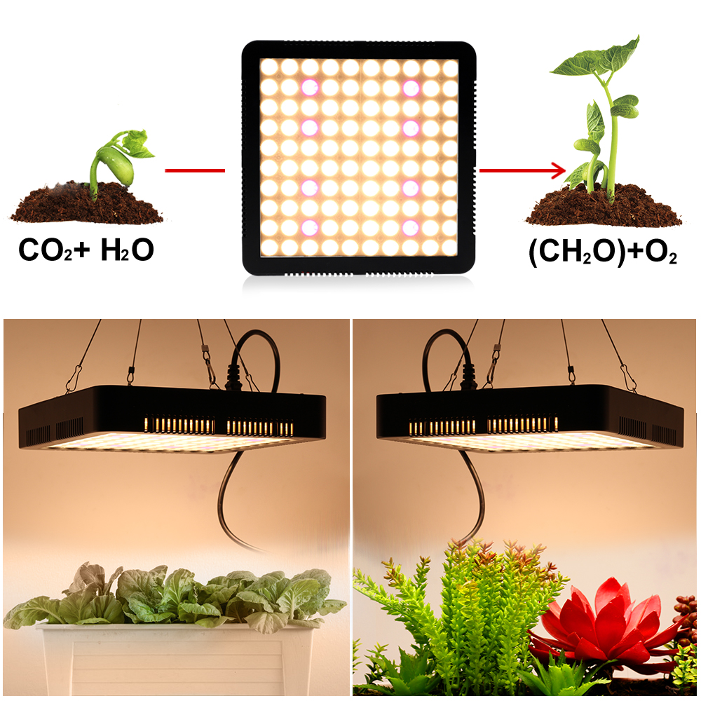 1000W Volledige Spectrum Led Grow Light Voor Greenhouse Planten Zaailingen AC85-265V Groeiende Phyto Lamp Voor Groenten Bloemen