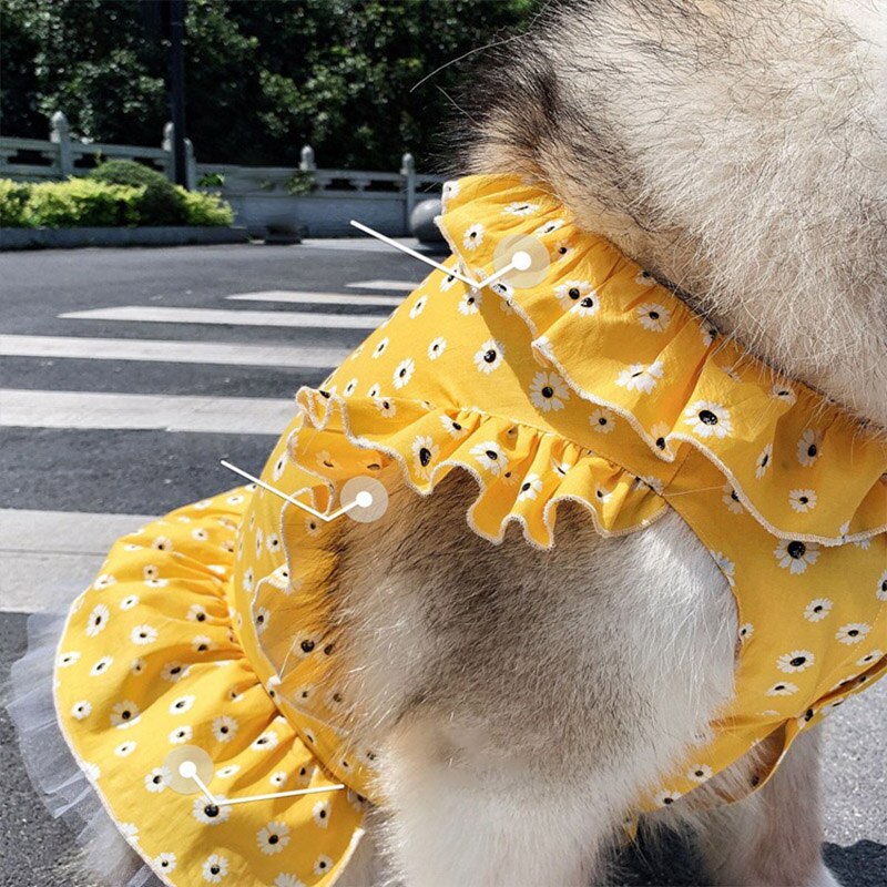 Vestido con estampado de margaritas para Perro, ropa para mascotas, Disfraz para perros medianos y grandes, Labrador Golden Retriver, Disfraz para perros grandes