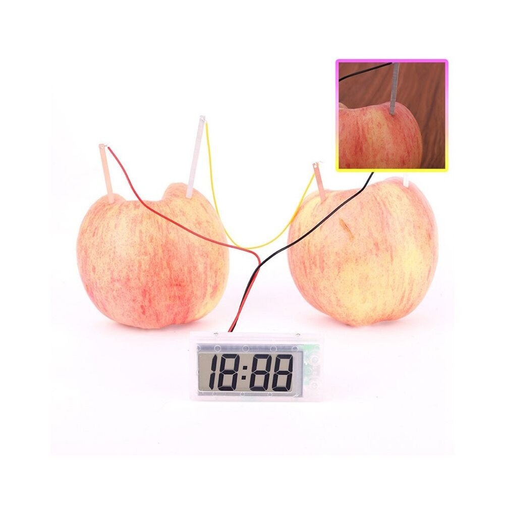 Pedagogisk potatis klocka timer miljöskydd diy-teknik liten produktion fysisk experimentutrustning