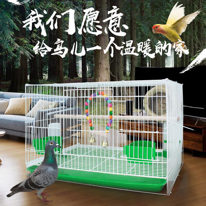 Bird cage large pigeon cage tiger parrot myna special starling cage ...