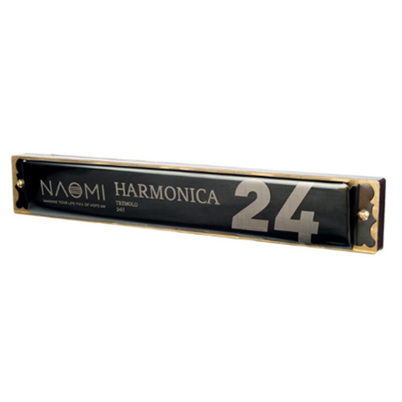 Naomi 24 Holes Tremolo Harmonica Sleutel Van C Rvs Mondharmonica Mondharmonica Met Case Wind Instrument: Black