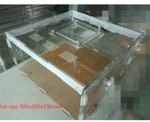 Mier Acryl Nest Boerderij Huisdier Insect Mierennesten Villa Huisdier Huis Verlengen Actieve Zone Transparante 6 Size Voor Student Wetenschappelijke klasse Gebruik: 300x200x150mm