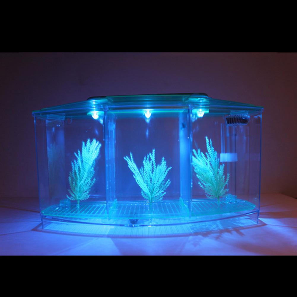 LED Light Acrylic Three Splits Betta Fish Bowl Triple Bow Fighting Isolation Breed Box for Aquarium