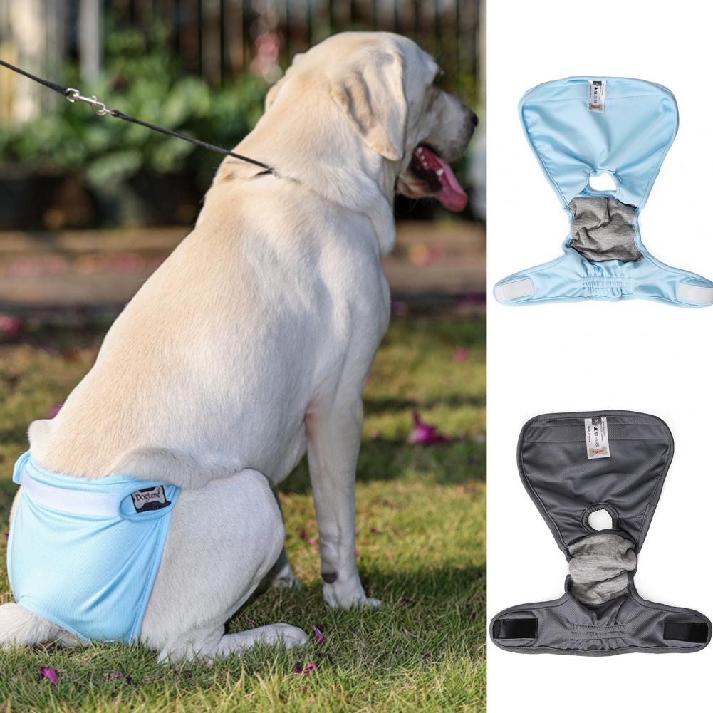 Useful Puppy Pants Soft Touching 5 Sizes Pet Diaper Pants Pet Puppy Physiological Pants for Outdoor Dogs Diapers