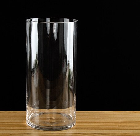 Simplicity Transparent Clear Tabletop Tall Glass Vase Bottle Terrarium Hydroponic Container Pot Flower Home Wedding Decor: 20x12cm