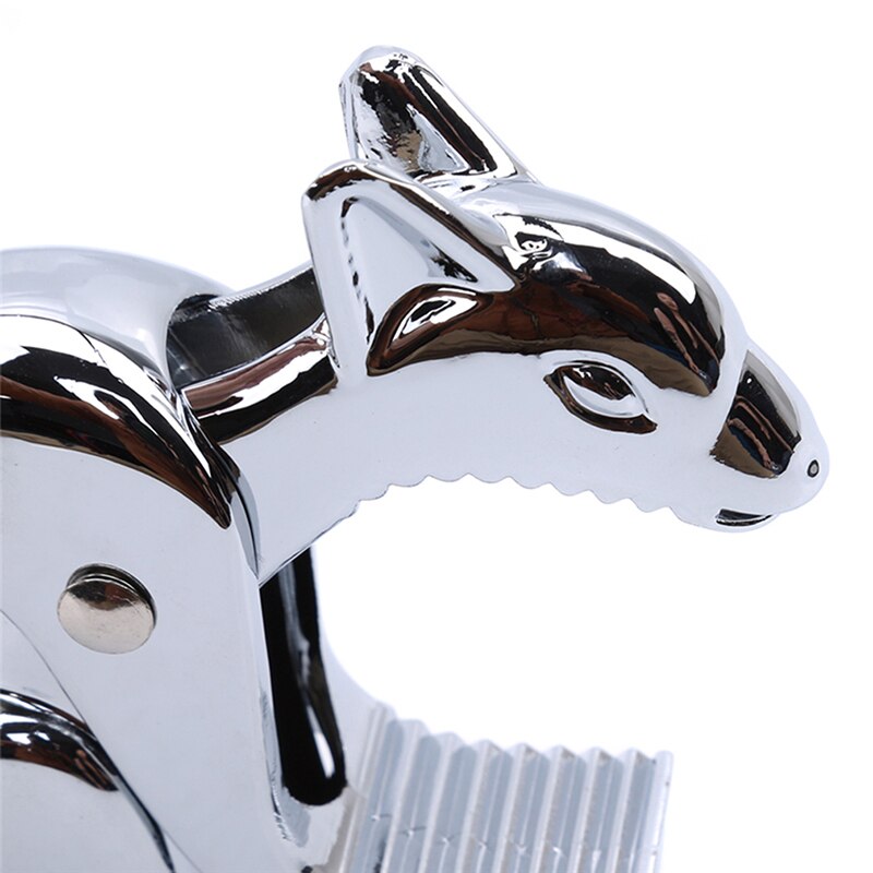 Lange Eekhoorn Notenkraker Walnoot Biscuit Klem Pecannoten Clip Hazelnoot Amandel Walnoot Brazilië Moer Tool