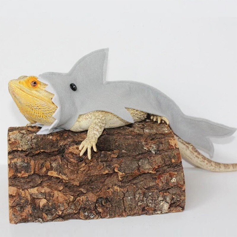 Gecko Lizard Kleding Shark Kostuum Voor Baardagaam Reptielen Kleding Hagedis Shark Kleding Kleine Huisdier Kleding Dierbenodigdheden